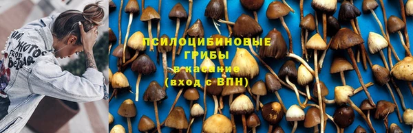 дмт Абинск