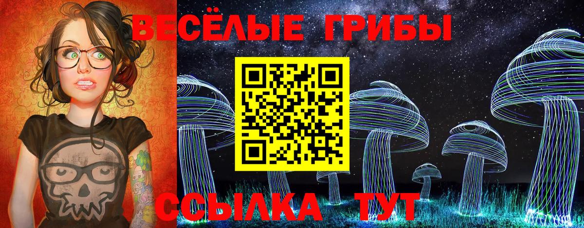 Мурино  Галлюциногенные грибы MAGIC MUSHROOMS  Вход с VPN 