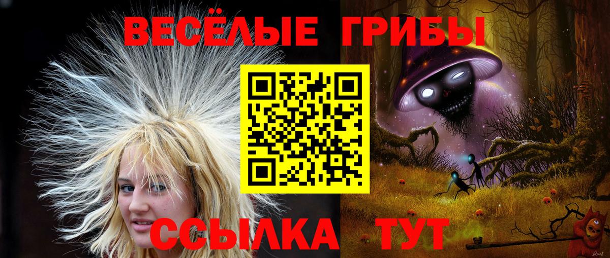 Псилоцибиновые грибы MAGIC MUSHROOMS Мурино
